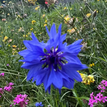 Chata Rajecke Teplice シャレー Rajecké Teplice